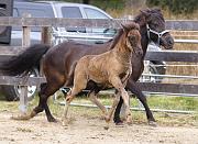 Njola von Heidmoor i